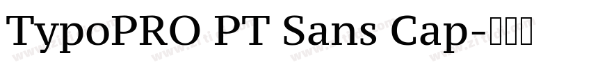 TypoPRO PT Sans Cap字体转换